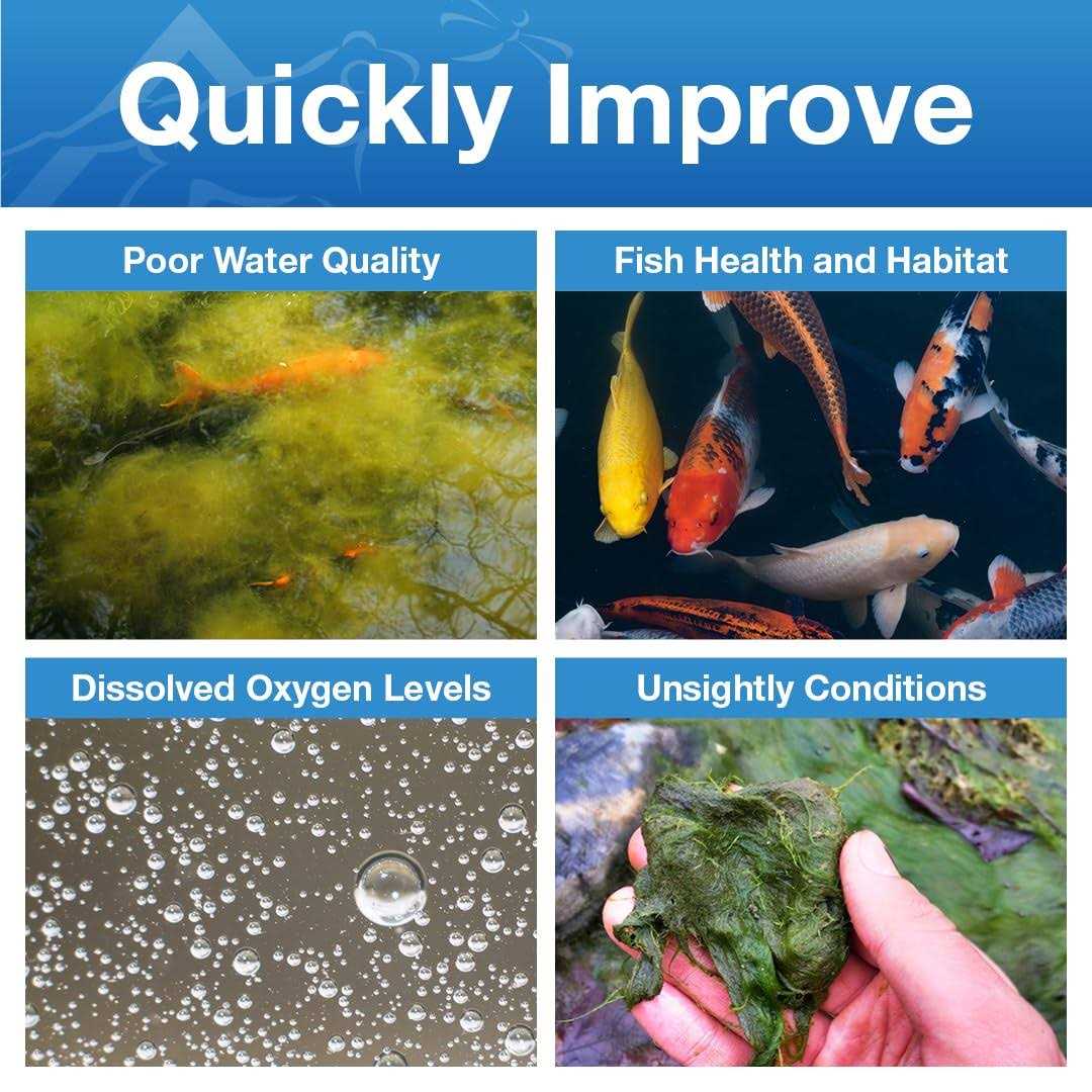 Aquascape 2-Outlet Pond Aeration Kit - Image 4