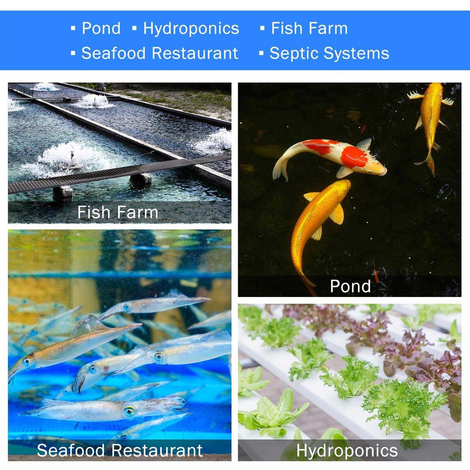 Aquamiracle Linear Air Pump AP-40/AP-60/AP-80/AP-160 For Pond Aeration - Image 5