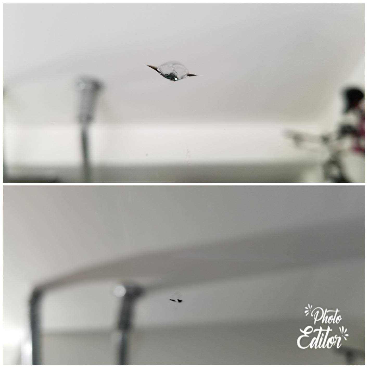 Blue-Star Windshield Repair Kit - Image 3