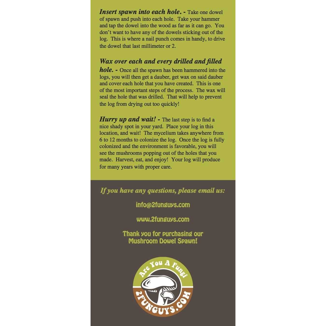 100 Shiitake 100 Mushroom Plug Spawn Edible Mycelium Plugs - Image 3