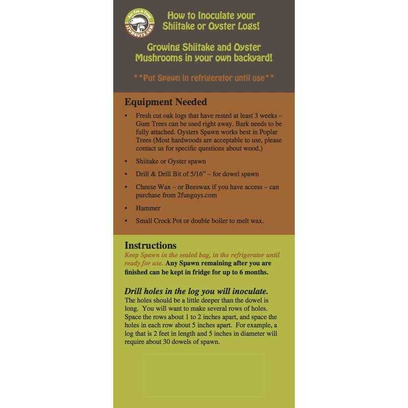 100 Shiitake 100 Mushroom Plug Spawn Edible Mycelium Plugs - Image 4