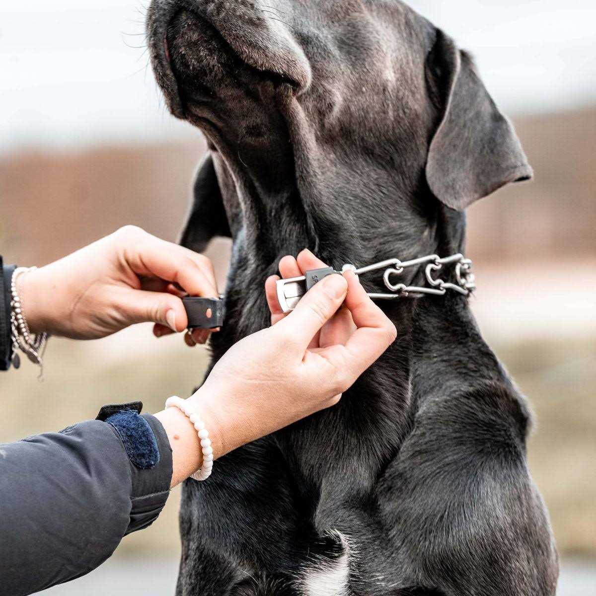 Herm Sprenger ClicLock Fastener Stainless Steel Buckle for Prong Dog Training Collar & Quick Release with Easy Buckle for Medium Large Dogs - Image 5