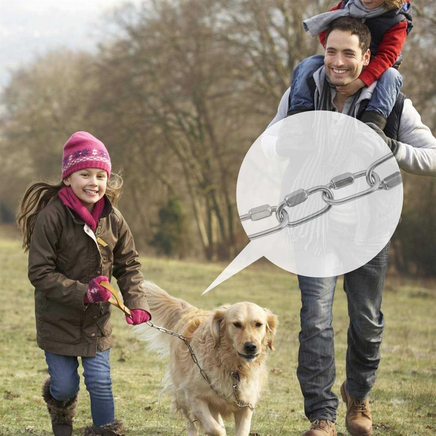 HOME MASTER HARDWARE 1/8 inch Stainless Steel D Shape Quick Link Chain Links Locking Carabiner Connector Keychain Ring Buckle 10 Pack - Image 3