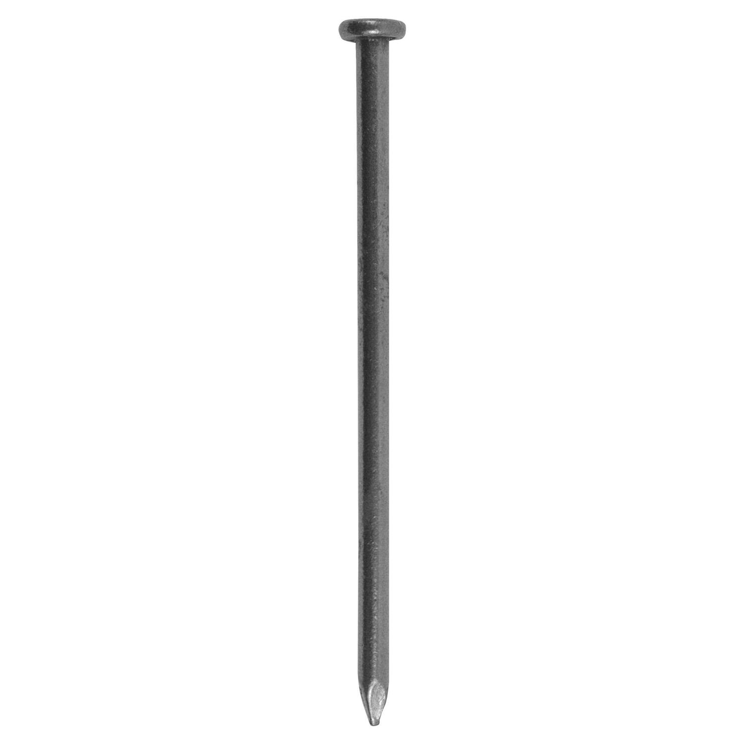 Grip-Rite 16D 3-1/2 in. Common Bright Steel Nail Flat 1 lb - Image 4