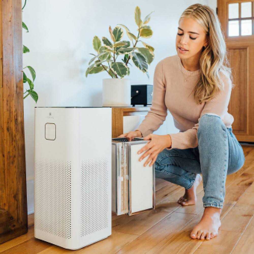 Medify Air Medify MA-50 Genuine Replacement Filter for Smoke Smokers Dust - Image 5