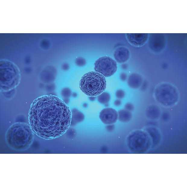 Envion Replacement HEPA Filter for Therapure TPP440 & TPP540 Air Purifiers - Image 4