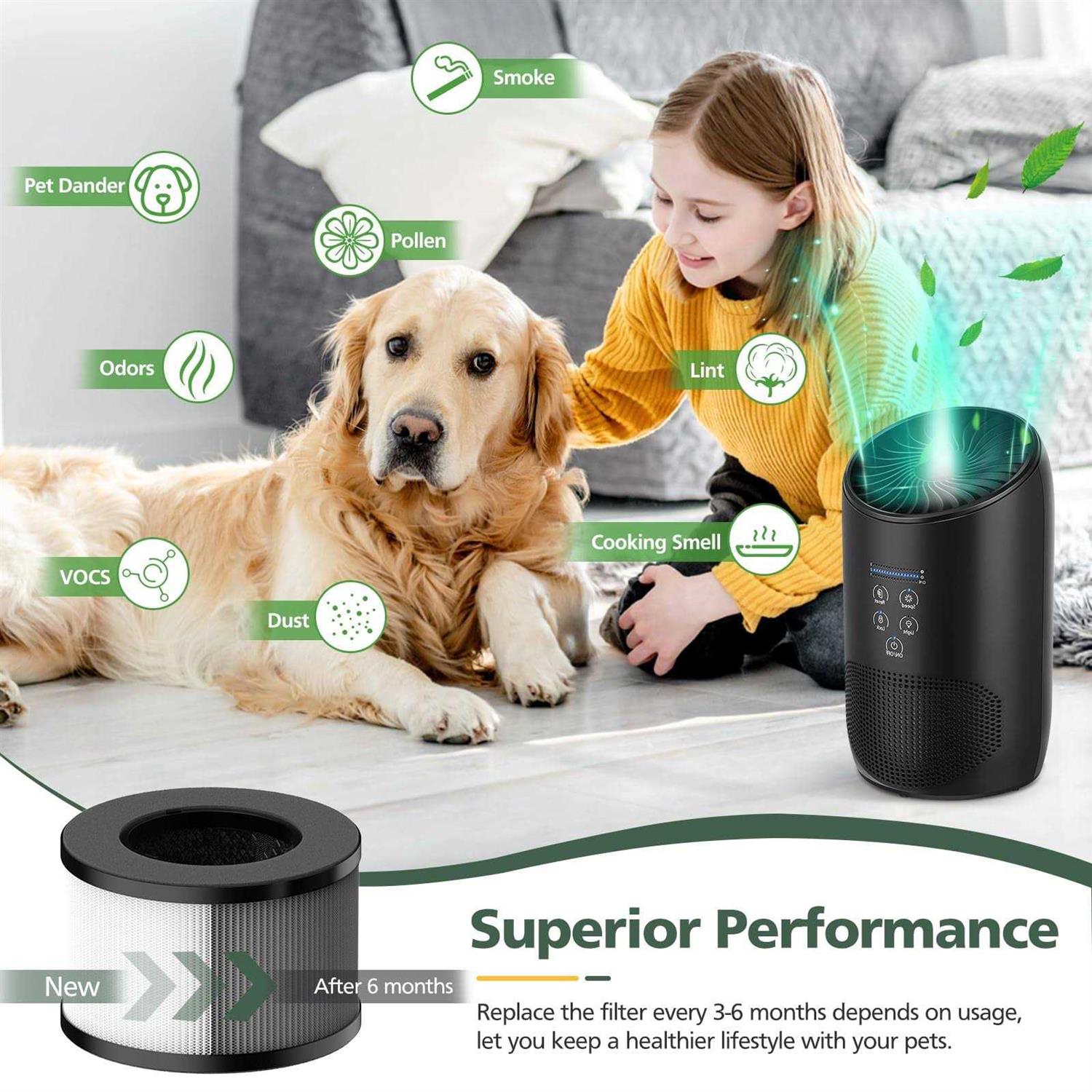 Bs-03 True Hepa Replacement Filter Bs-03 Partu And Slevoo Hepa Air Purifier - Image 3