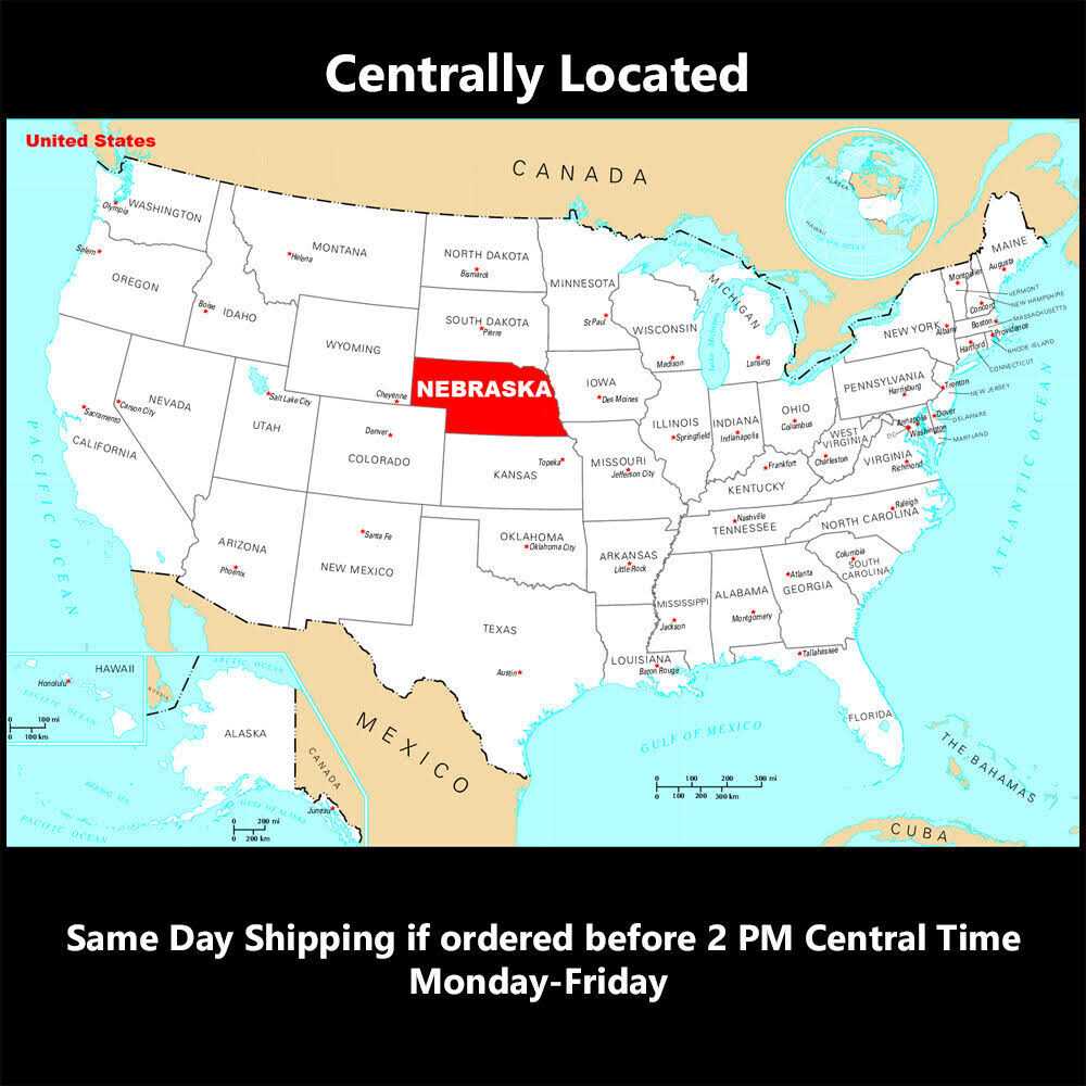 Zero Degree 3/8 in. Drive Gearless Ratchet with Socket Quick Release 38151 - Image 4
