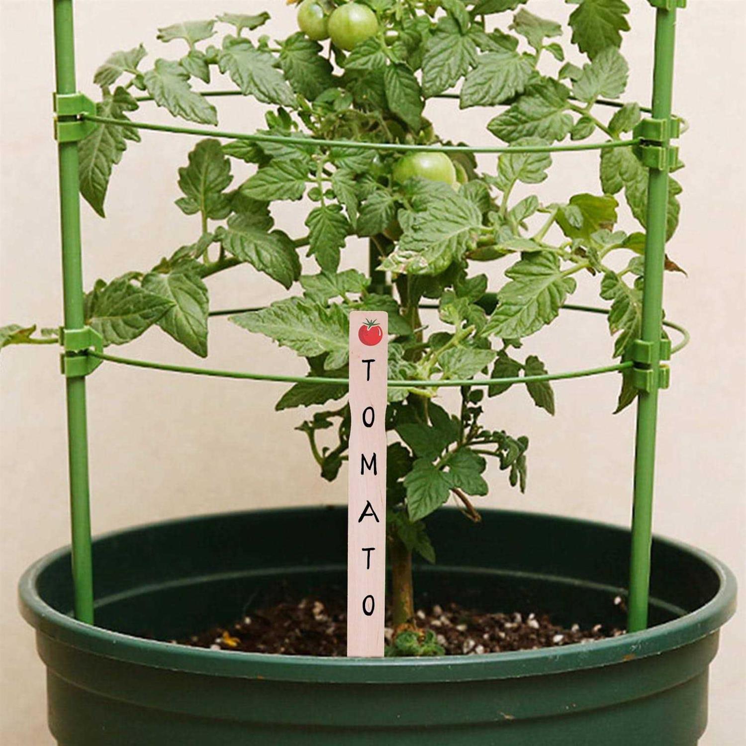 hanwer Paint Stir Sticks, 12 inch Wooden Paint Sticks for Mixing, Paint Stirrers and - Image 4