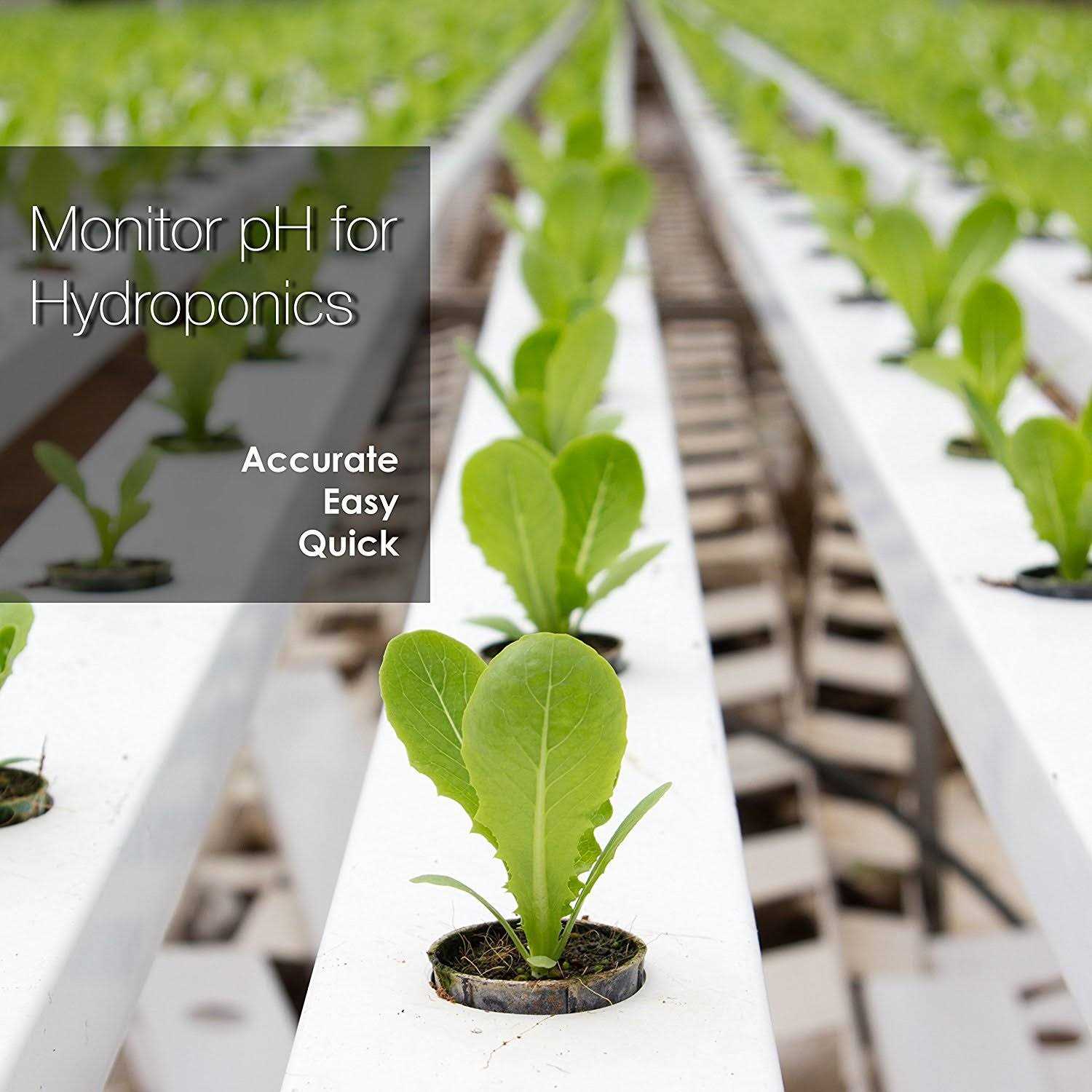 Apera Instruments Ai209 Value Series PH20 Waterproof pH Tester Kit - Image 5