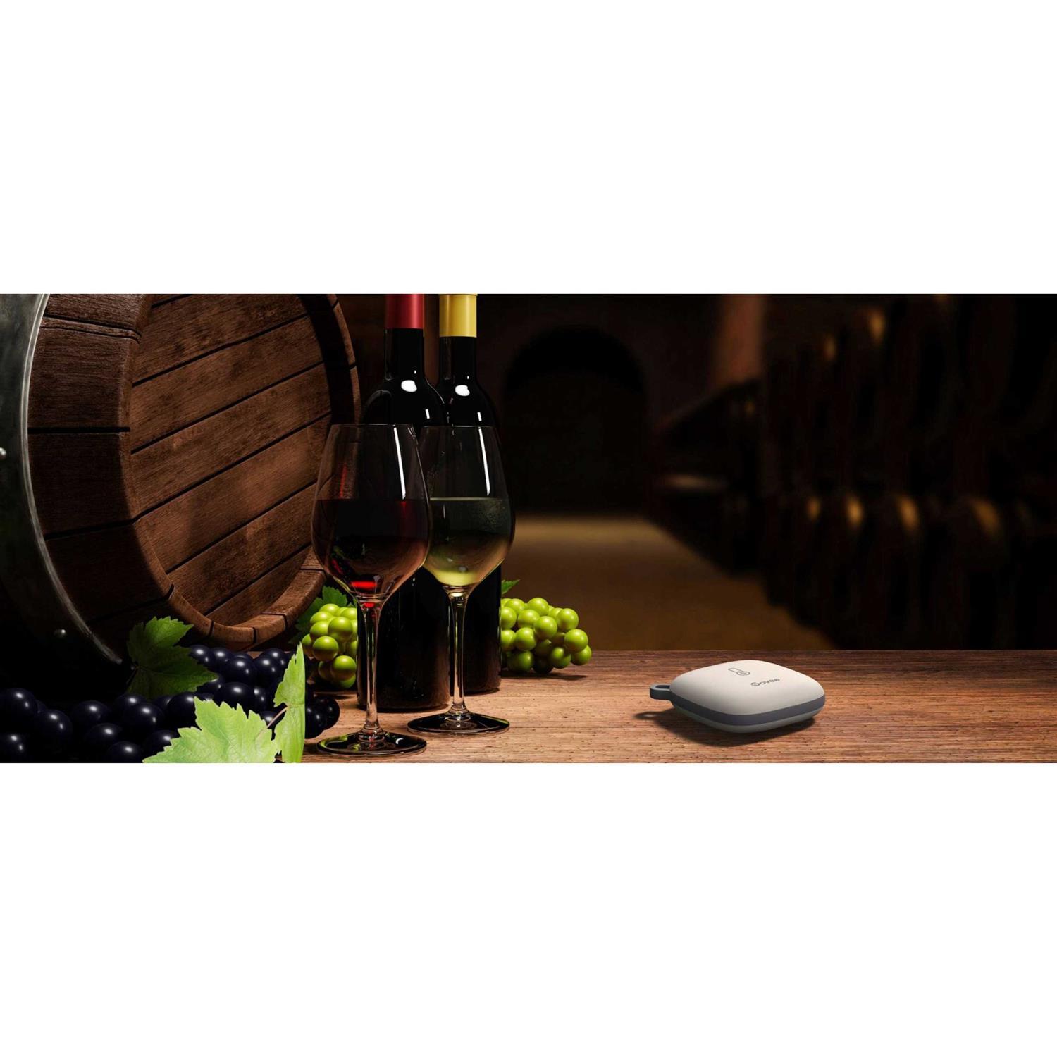 Govee WiFi Thermometer Hygrometer H5179 Smart Humidity Temperature Sensor with App Notification Alert - Image 3