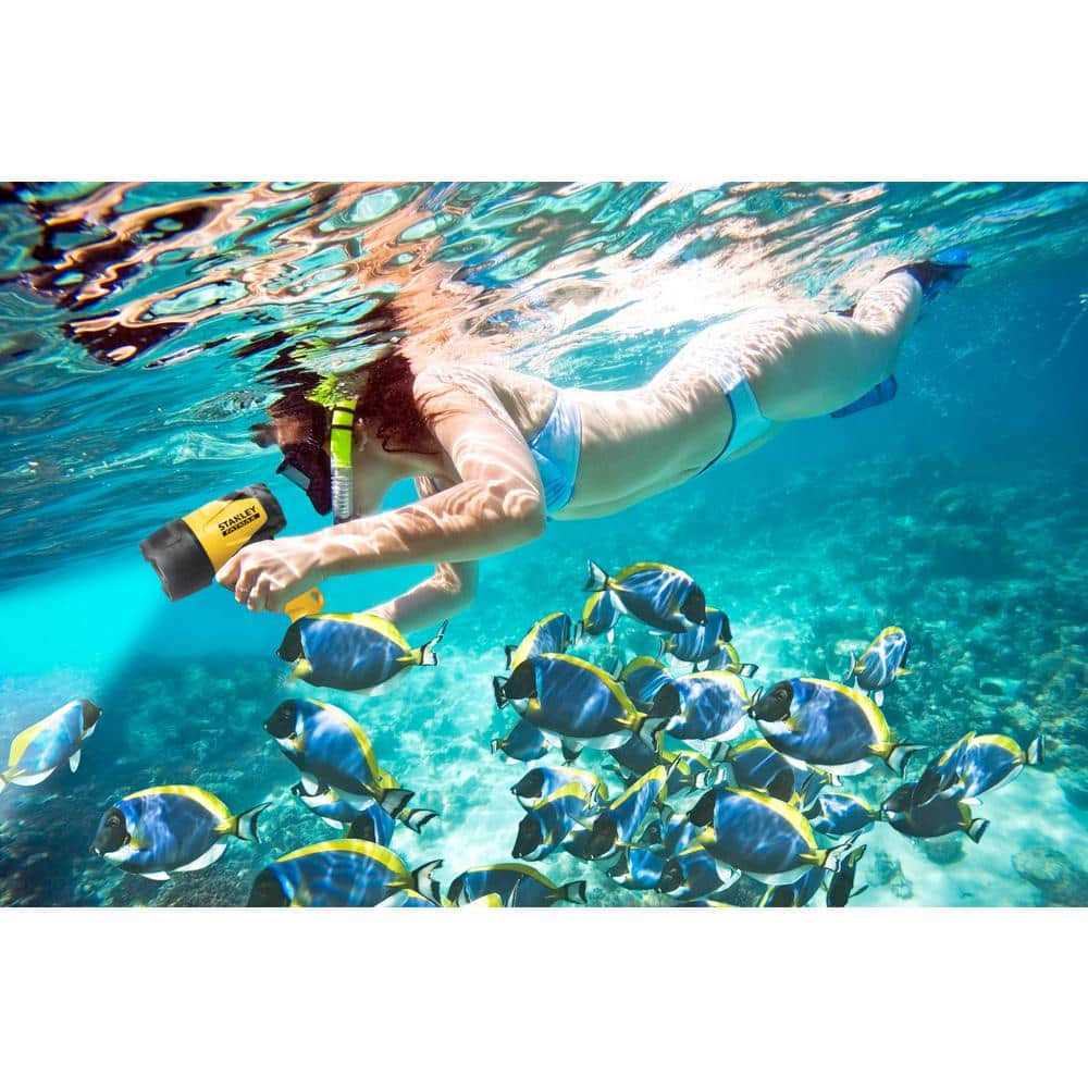 Stanley FL5W10 - Image 5