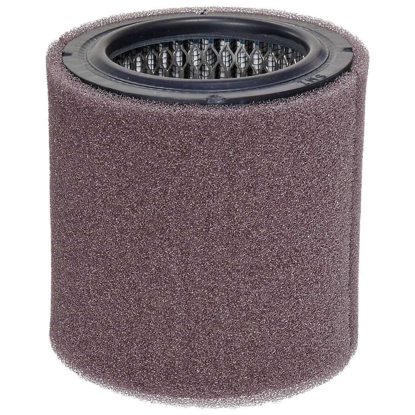 Solberg 19Pa Polyester Filter Cartridge with Prefilter for Compressor