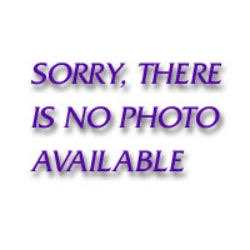 Gearwrench 81227P 120XP Non-Quick Release Dual Pawl Ratchet Repair Kit - Image 3