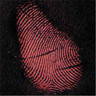 Pelican Products 7608 Plastic Holster - Image 4