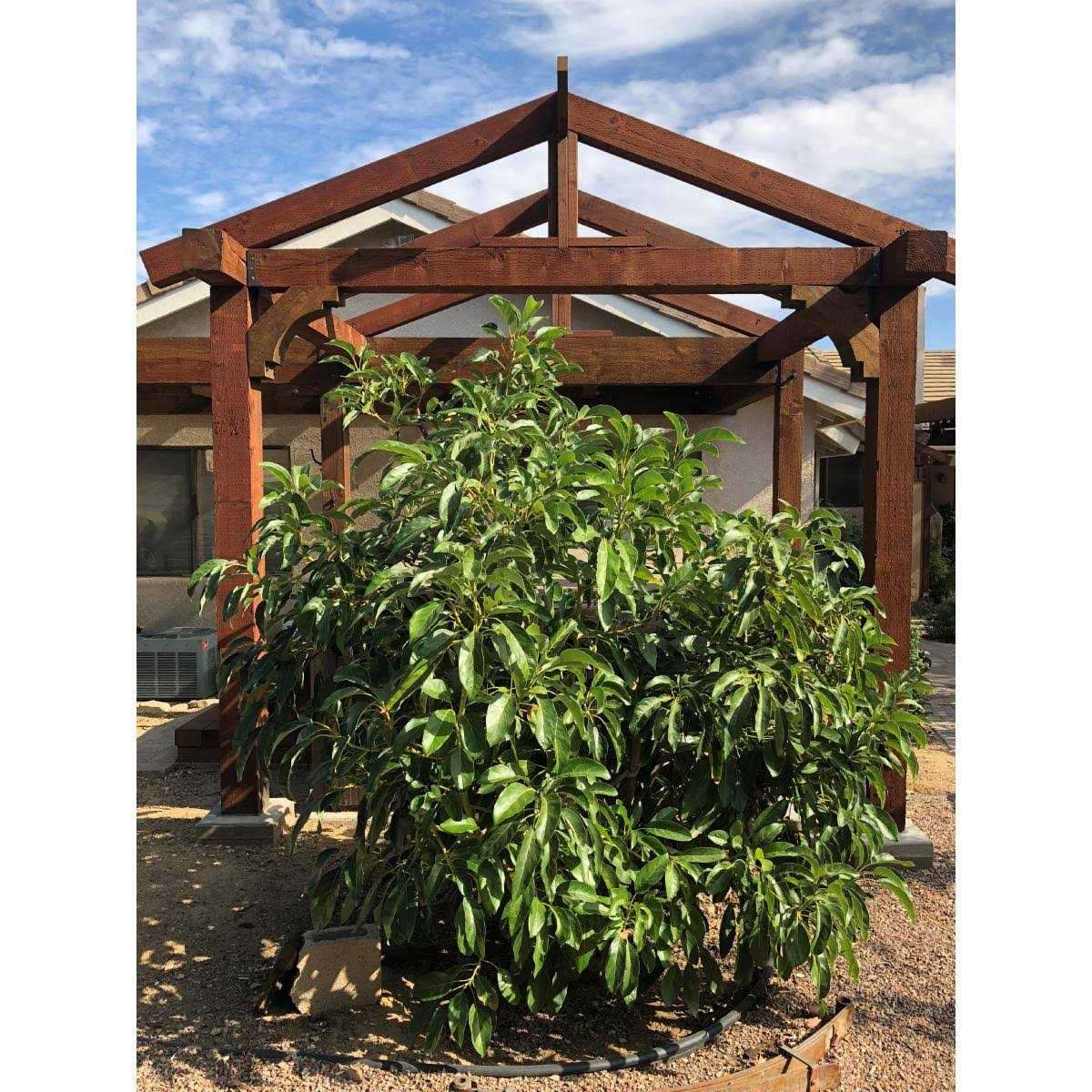 Ekena Millwork Traditional Rough Sawn Knee Brace - Image 4