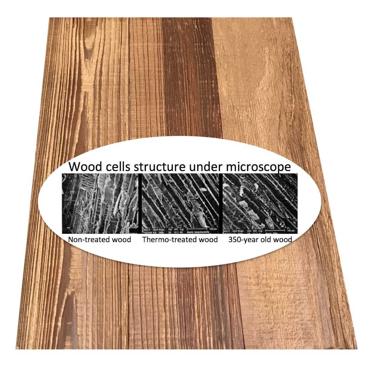 Smart Paneling Grain Wood Wall Planks 11239 - Image 4