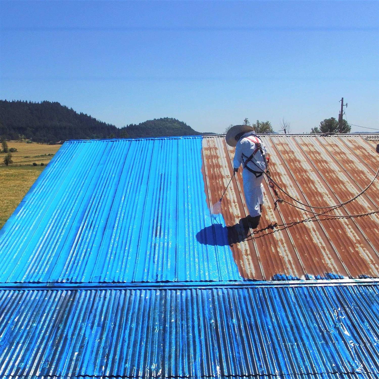 Ames BMX1RG Blue Max Liquid Rubber - Image 4