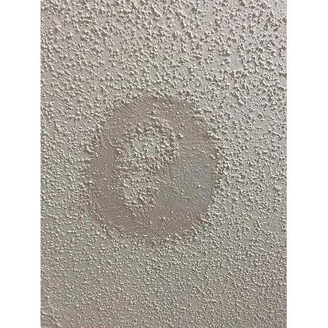 Homax Popcorn Ceiling Patch - Image 4