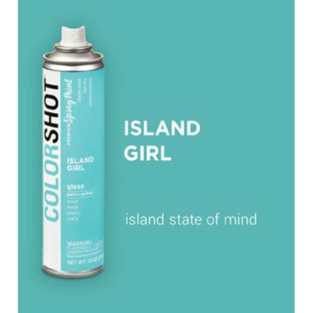 Colorshot Premium Gloss Spray Paint - Image 3