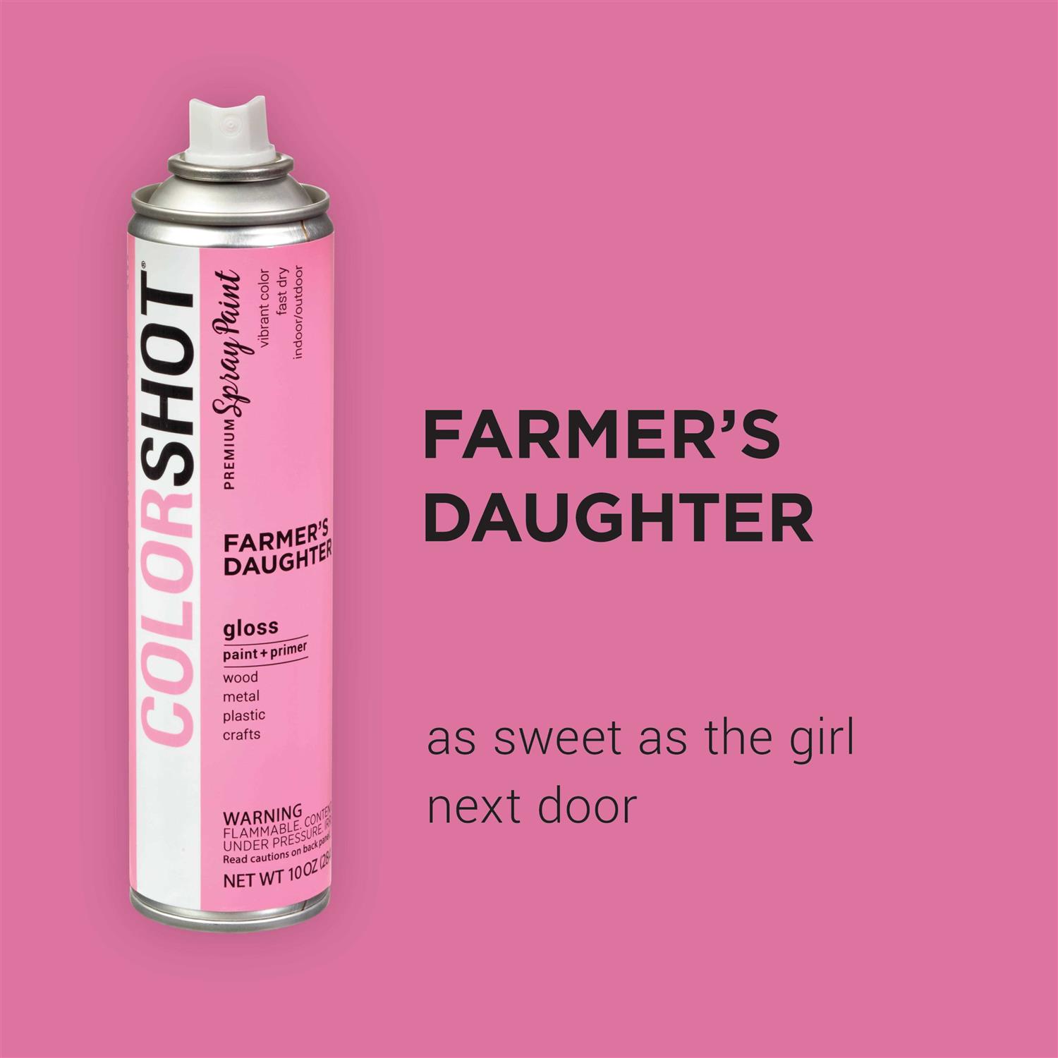 Colorshot Premium Gloss Spray Paint - Image 4