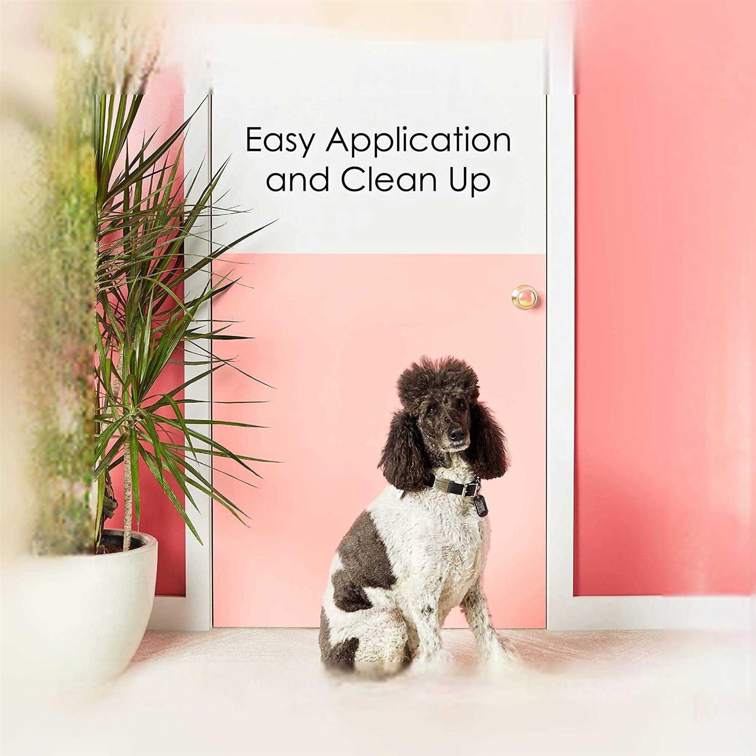 Krylon COLORmaxx Paint Gloss Black Quart K05617007 - Image 3