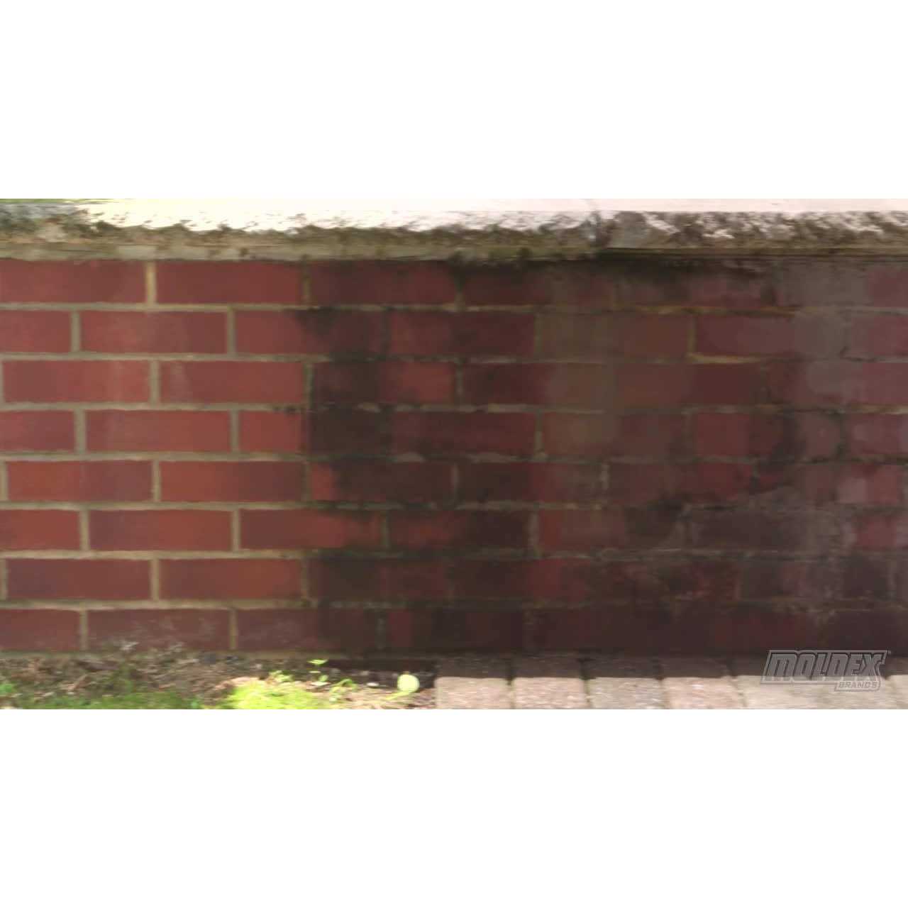 Moldex Mold Killer - Image 3