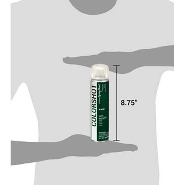 Colorshot Aerosol Spray Paint Skinny Dip Tan Satin - Image 5