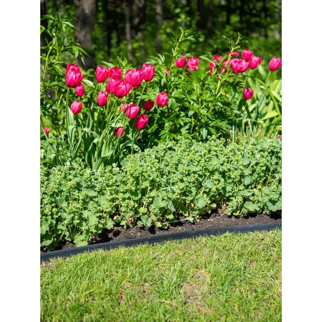 lamosale Easyflex No Dig Edging - Image 4