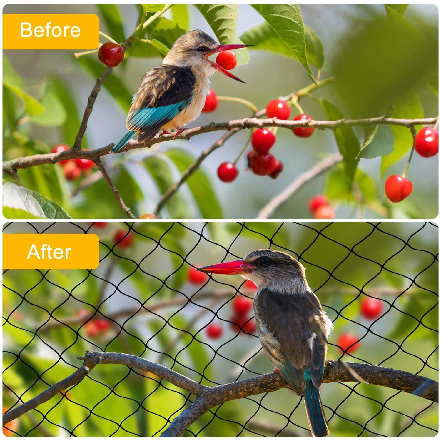 BSTPCOO Bird Net 1 Mesh Nylon Bird Netting for garden - Image 5