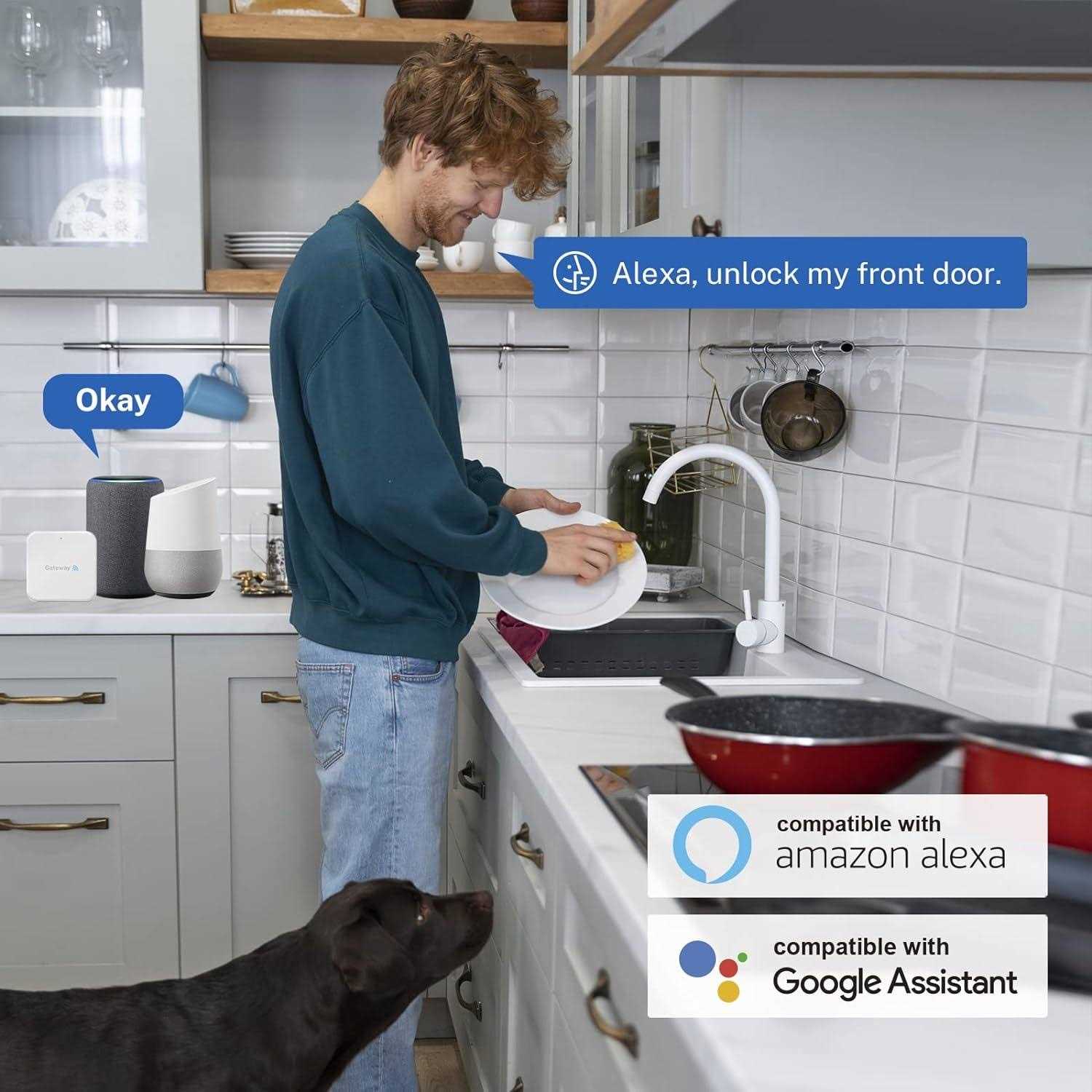 Wi-Fi Gateway Remotely Control Smart Fingerprint Door Lock with TT Lock App - Image 3