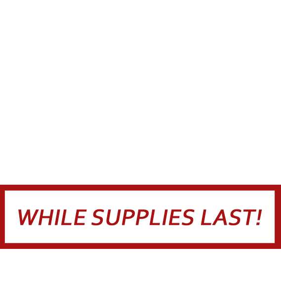 Ridgid 70447 Motor Assembly - Image 2