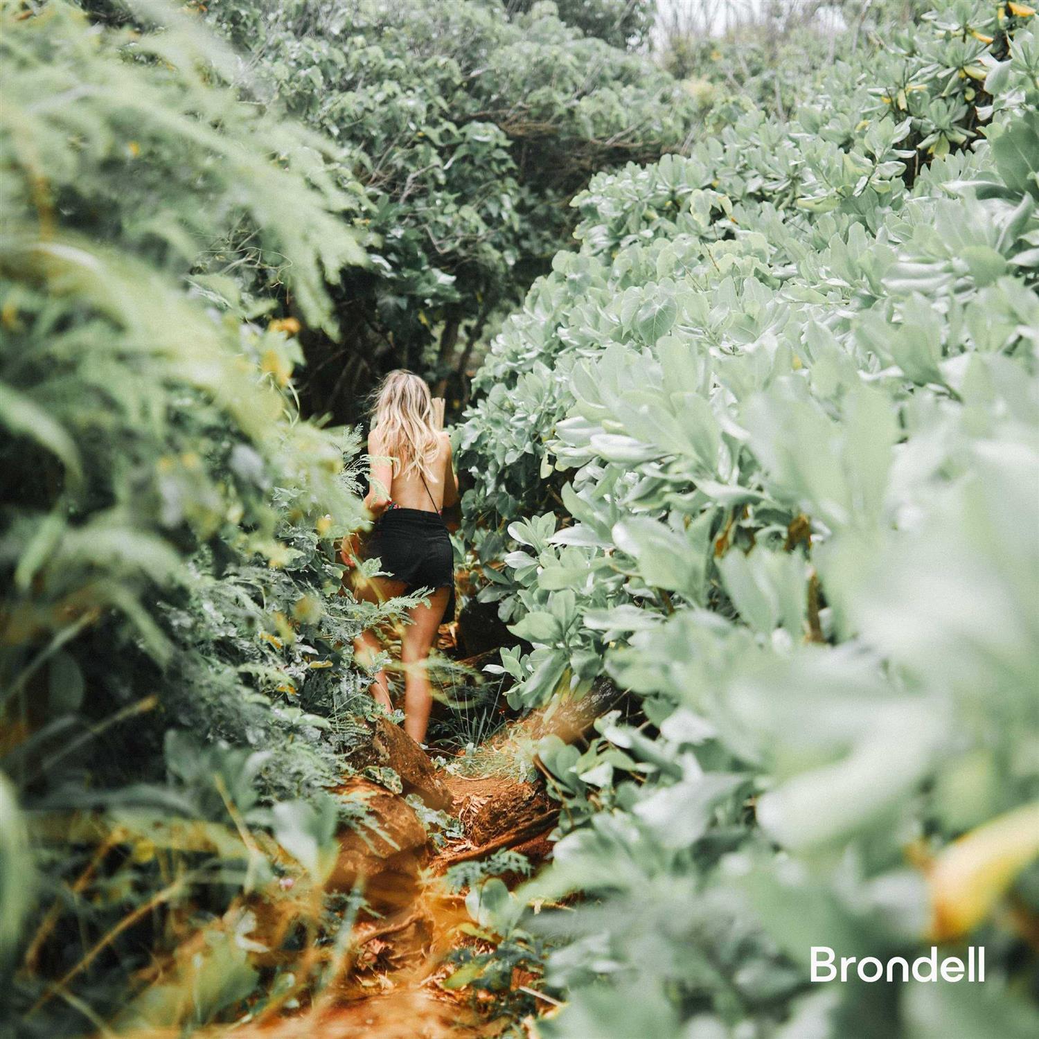 Brondell Swash Ecoseat White Elongated Bidet Toilet Seat - Image 4