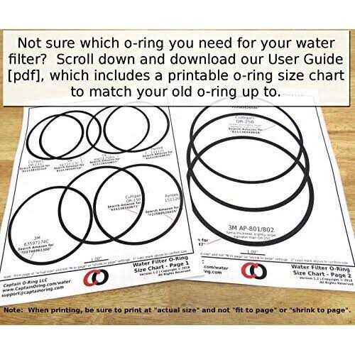 151122 Pentek O-Ring - Image 4