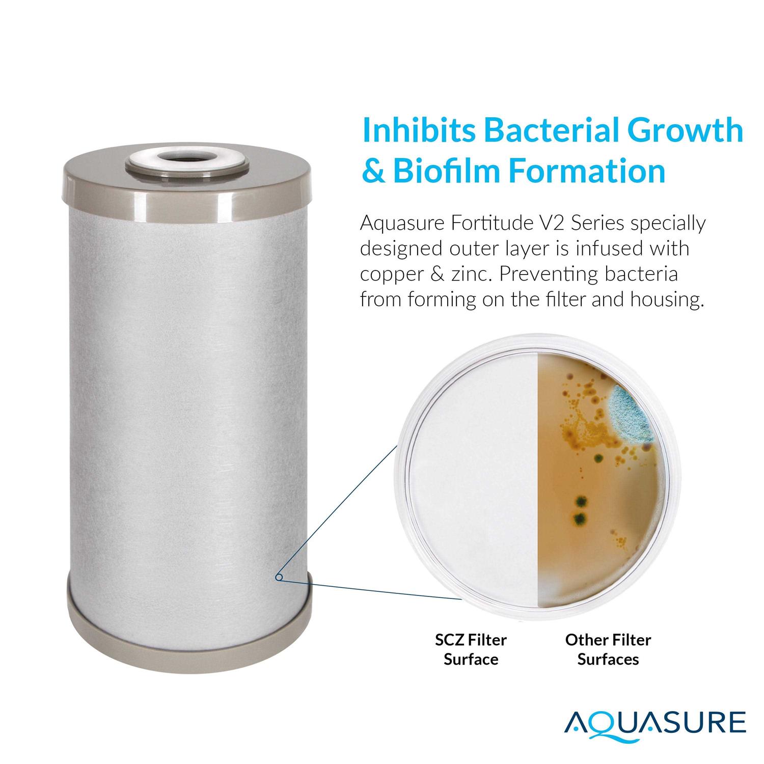 Aquasure Fortitude V2 Series Sediment/Carbon/Zinc Bacteria Inhibiting Triple Purpose Replacement Filter - Image 5