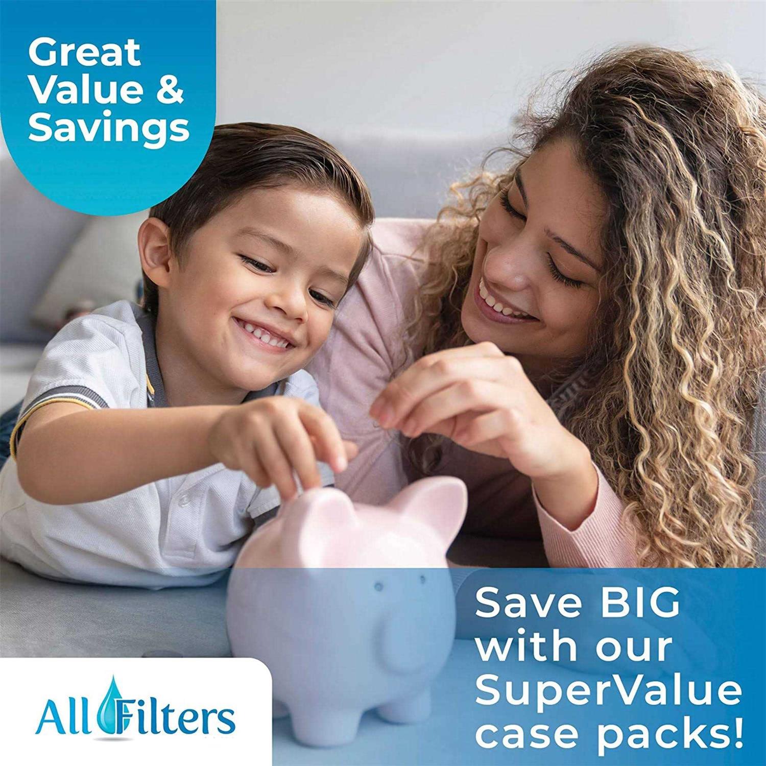 SpiroPure 10 x 4.5 Dual Gradient Polypropylene Water Filter - Image 3