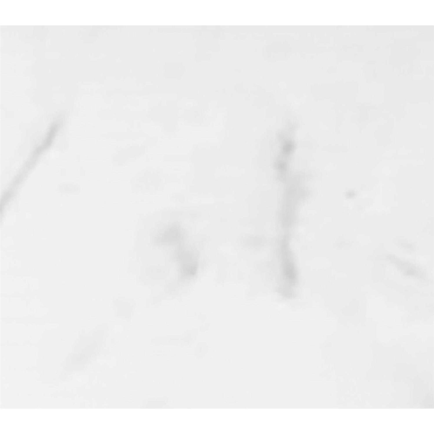 Winette 31-in Carrara White Undermount Single Sink 3-Hole Bathroom Vanity Top Marble - Image 4