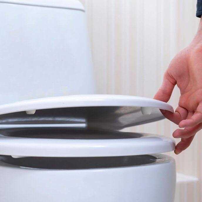 Danco 10062 Toilet Seat Bumpers - Image 5