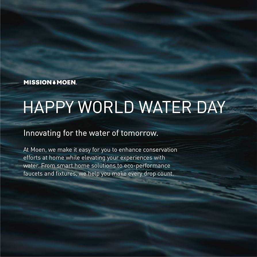 Moen Eco-Performance Handshower 3669EP - Image 2