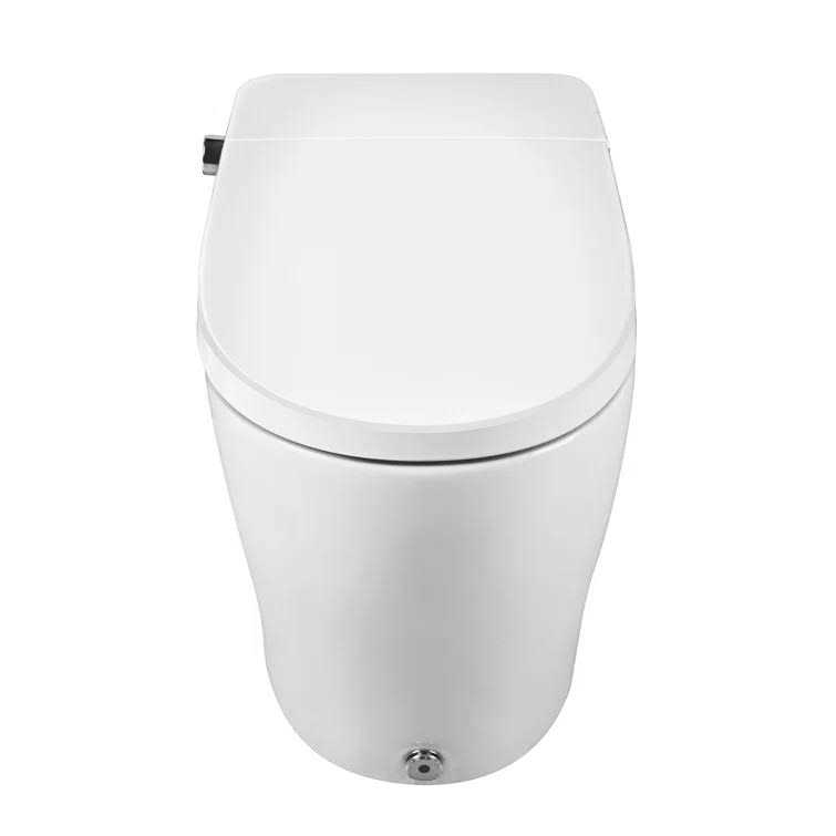 DeerValley Smart Bidet Toilet Modern Elongated Smart Toilet with Foot Kick Flush - Image 2