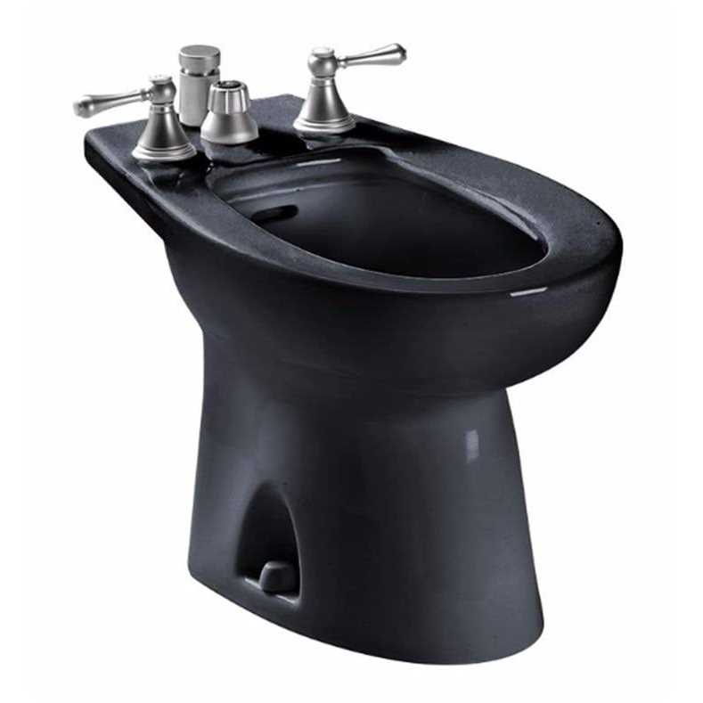 Toto Piedmont Vertical Spray Bidet BT500B# - Image 2