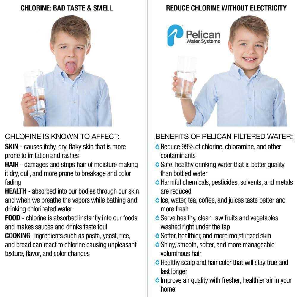 Pentair Carbon Replacement Media for PC600 Whole House Drinking Water Filter PC600-R - Image 4