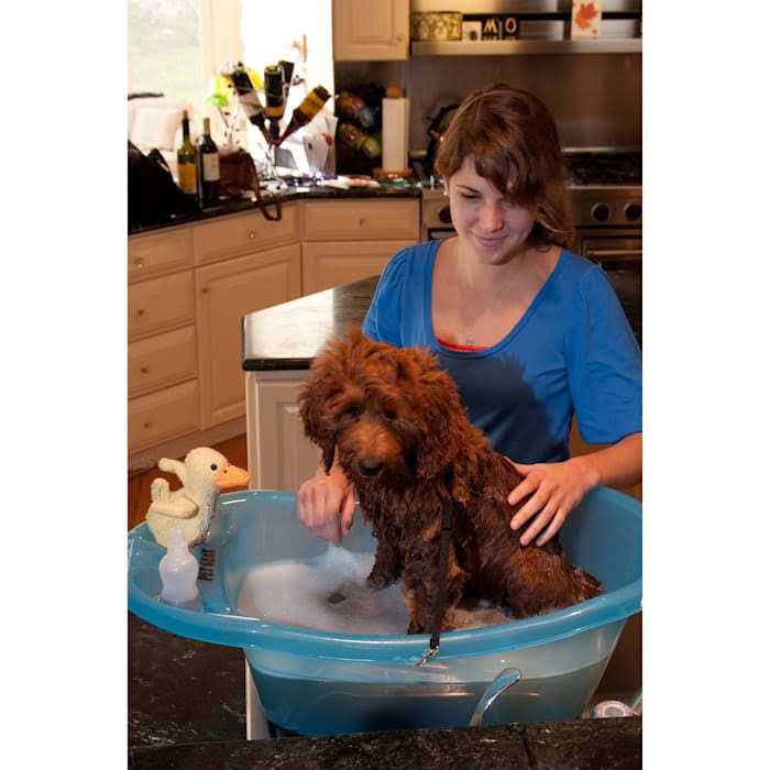 Pet Gear Pup Tub - Image 3
