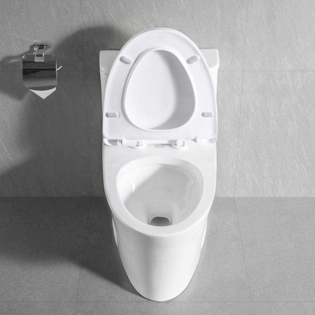 DeerValley Dv-1F52807 Symmetry 1.28 GPF Elongated One-Piece Toilet - Image 4