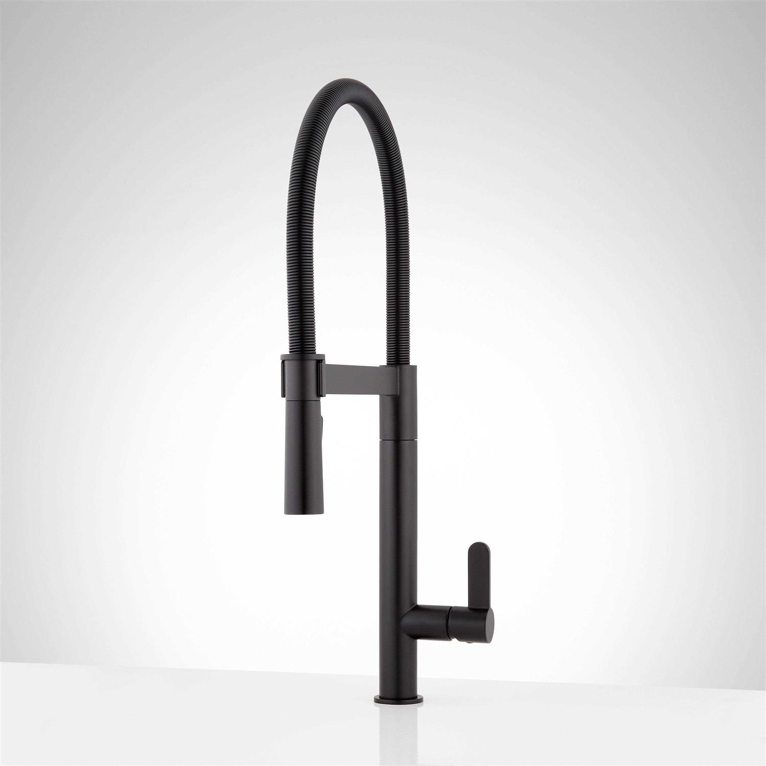 Signature Hardware Ocala Single Handle Pull-Down Kitchen Faucet