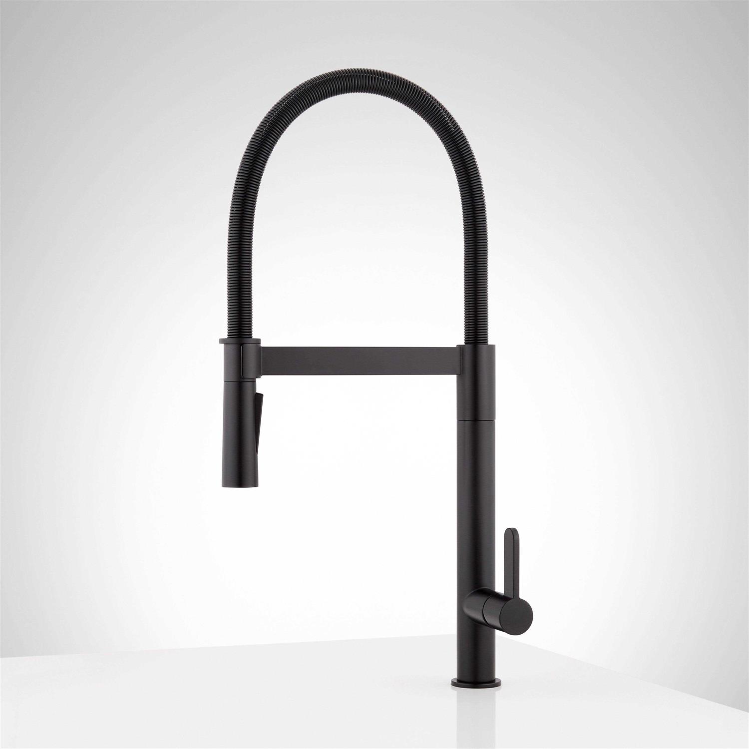 Signature Hardware Ocala Single Handle Pull-Down Kitchen Faucet - Image 4