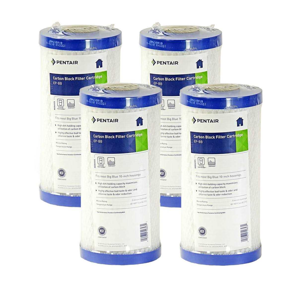 Pentek -EP-BB Carbon Block Water Filter - Image 5