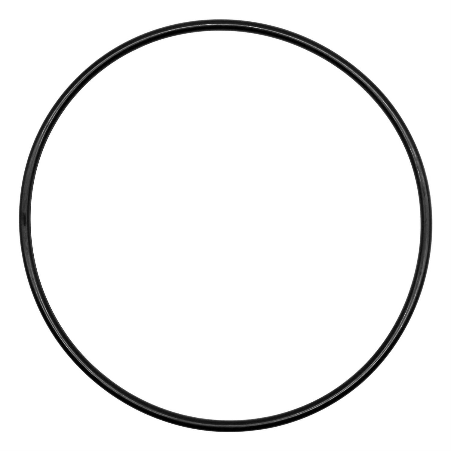 Pentair 87300400 Body O-Ring