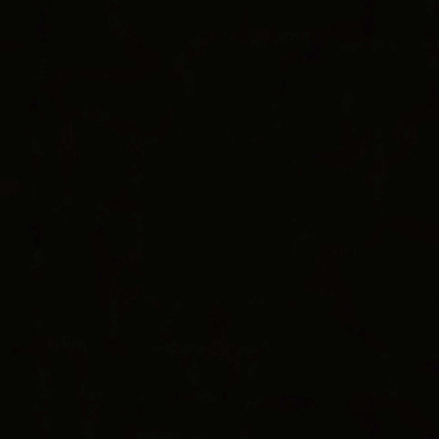 Blanco 240339 Decorative Metal Disposal Flange - Image 5