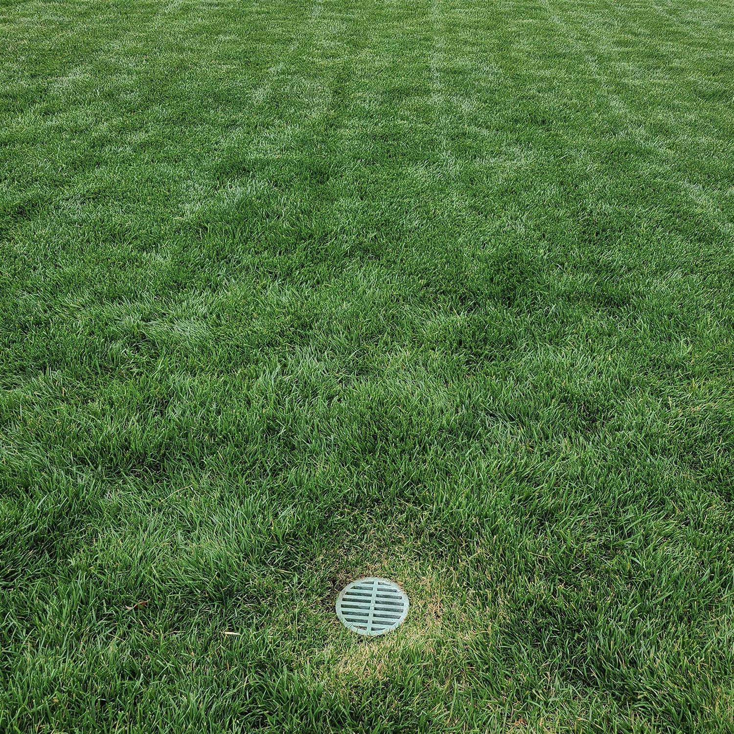 Premium USA Made 3 inch Grey Outdoor Round Flat Drain Grate Cover - Image 3